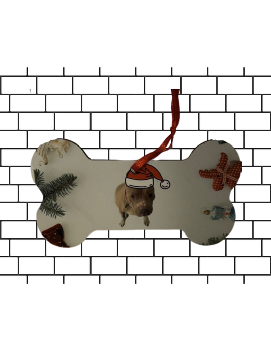 Dog Bone Ornament